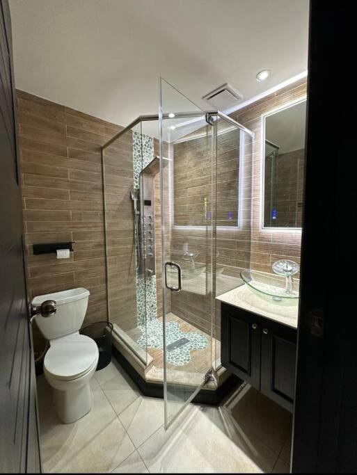 Apartament The Jewel Kingston Zewnętrze zdjęcie